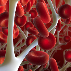 Stable clot formation