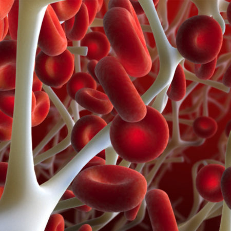 Stable clot formation