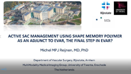 Webinar