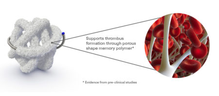 Porous matrix image